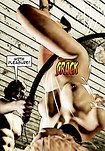 Bouncing babes tumbling into cold, steel cages, all ready to be trained and broken - Collector 2 (fansadox 532) by Arctoss