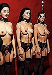 Four girls. One basement. Captured. Trained. Sold. - Predators, The First Hunt (fansadox 720) by Arctoss