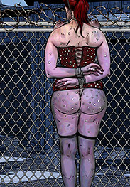 Electrodes were fitted to the nails in her breasts and electric shocks were administered - Sex hunting by Mr Kane